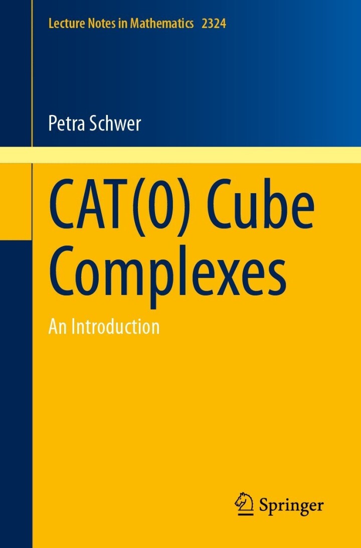 CAT(0) Cube Complexes An Introduction